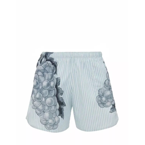 J.W.Anderson Graphic-Print Striped Swim Shorts Blue 