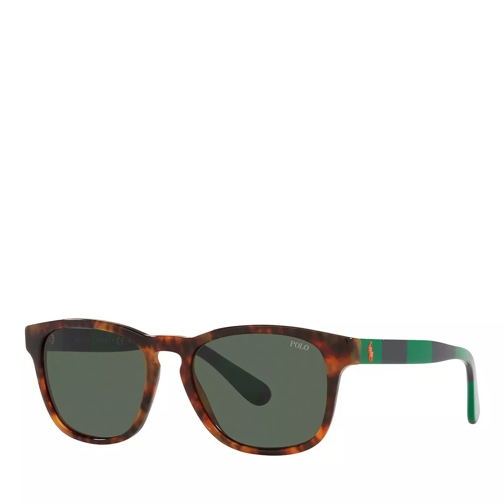 Polo Ralph Lauren 0PH4170 Sunglasses Shiny Jerry Tortoise Occhiali da sole