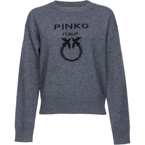 Pinko Truien Pinko Sweaters Grey grau