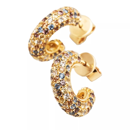 PDPAOLA Earring Tiger Yellow Gold Creole