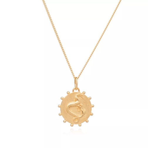 Rachel Jackson London Capricorn Zodiac Art Coin Necklace  Yellow Gold Medium Necklace