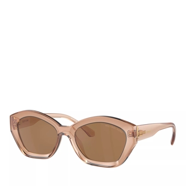 Michael Kors 0MK2209U 54 3999/O Brown Transparent | Sonnenbrille