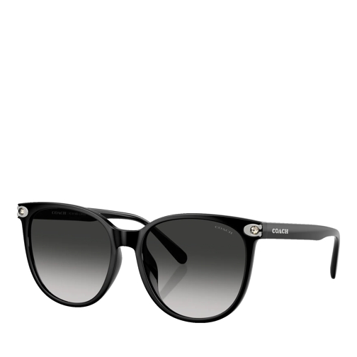 Coach CW428 Black Sunglasses