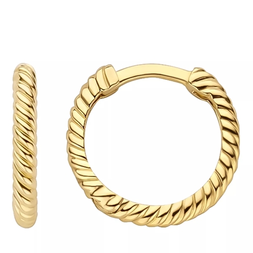 Blush Earrings 7266YGO - Gold (14k) Yellow Gold Hoop