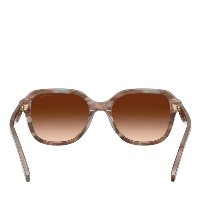 Coach Sonnenbrille 0HC8437U Black(Image 5)