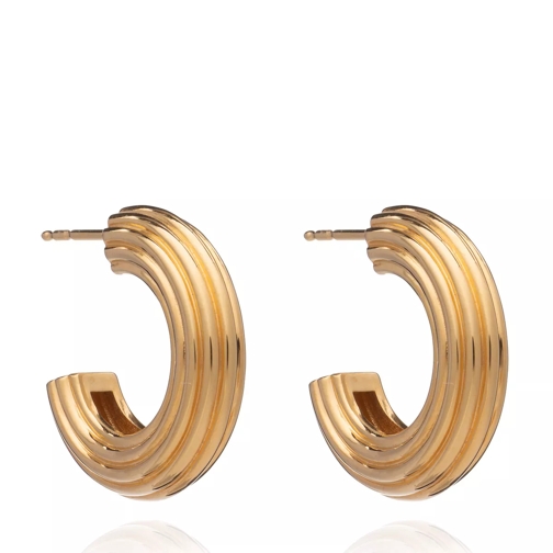 Rachel Jackson London Chunky Ridged Gold Hoop Earrings Gold Ring