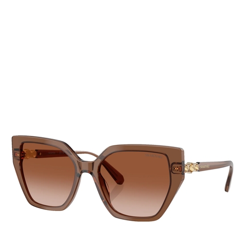 Swarovski 0SK6016 Transaprent Brown Lunettes de soleil