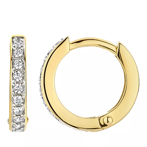 Blush Earrings 7129BZI - Gold (14k) with Zirconia Yellow and White Gold Hoop