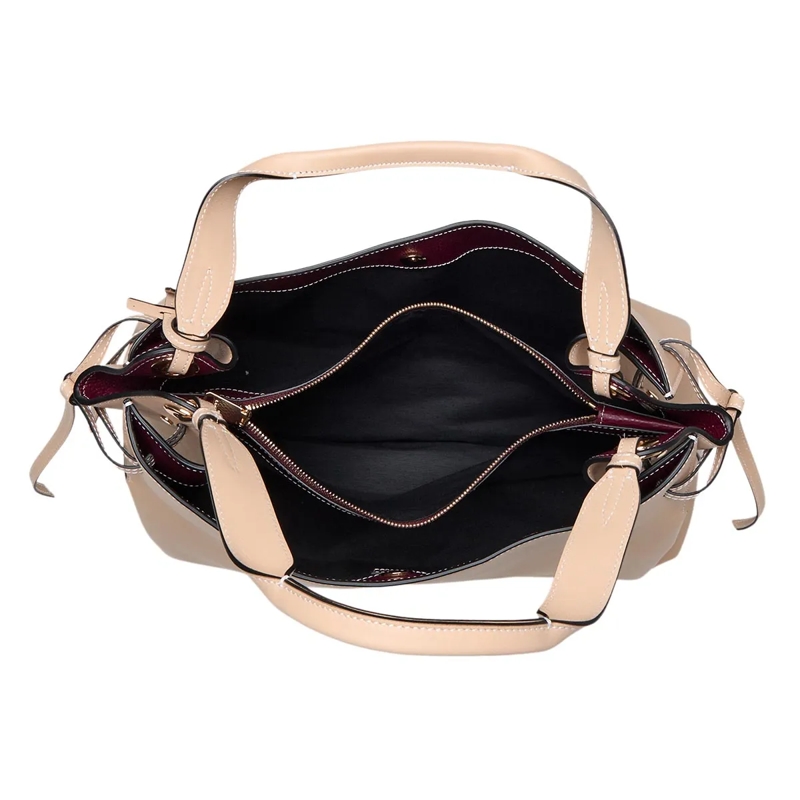 Lancel Tote Swann Smooth & Grained Cowhide Leathers - M Carrya Cappuccino(Image 7)