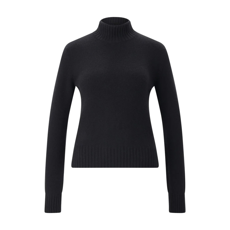AMI Paris Rollkragenpullover Pullover aus Kaschmir-Woll-Mix schwarz