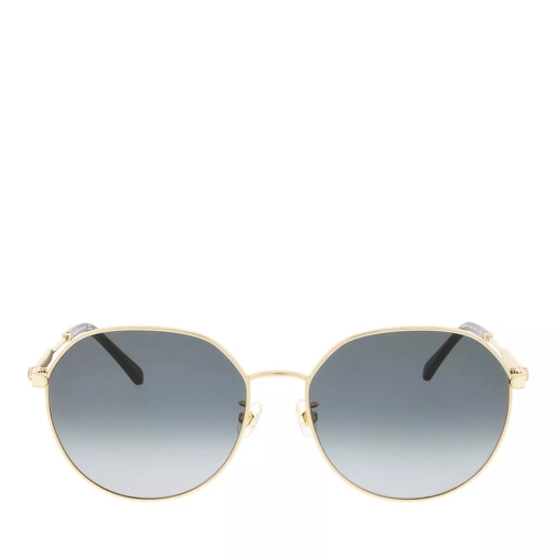Kate Spade New York NESHA/F/S Gold Black Sunglasses