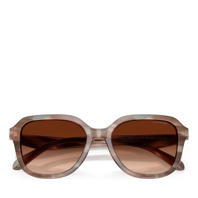 Coach Sonnenbrille 0HC8437U Black(Image 6)