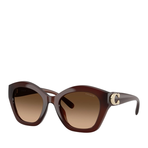 Coach Sonnenbrille Cad31 Milky Hazelnut