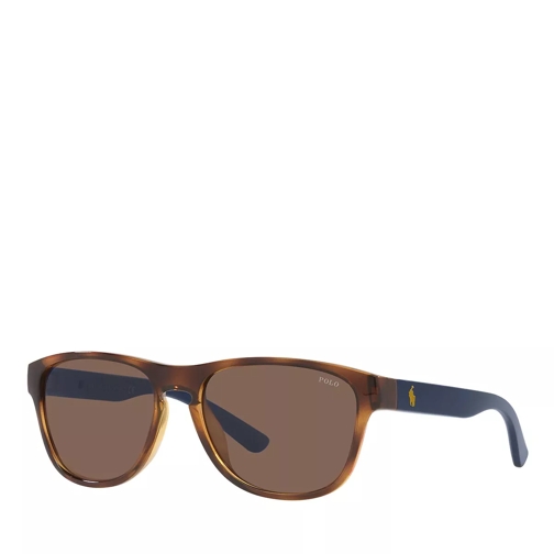 Polo Ralph Lauren 0PH4180U Sunglasses Shiny Havana Occhiali da sole