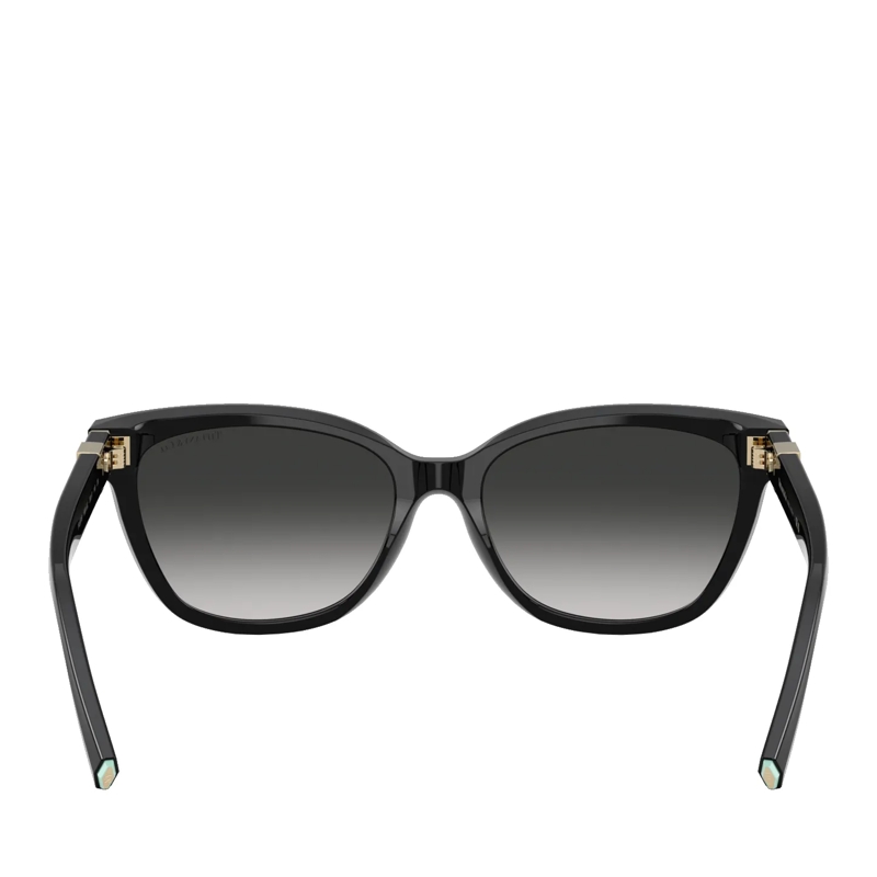 Tiffany & Co. Sonnenbrille 0TF4237B 80013C55 Black (Image 6)