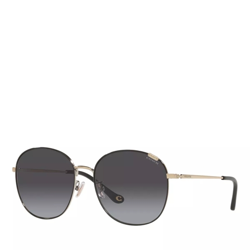 Coach Sunglasses 0HC7134 Black Sonnenbrille