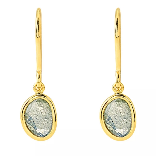Indygo Bahia Earrings with Labradorite Yellow Gold Ohrhänger