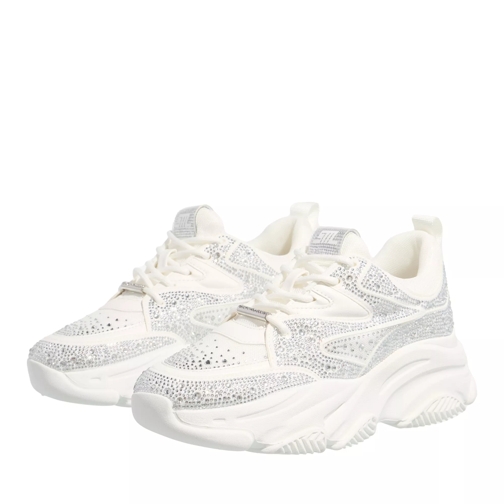 Steve Madden Low-Top Sneaker Privy White