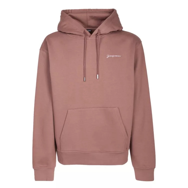 Iconic on sale champion hoodie