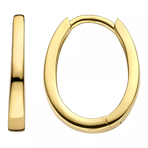 Blush Earrings 7277YGO - Gold (14k) Yellow Gold Orecchini a cerchio