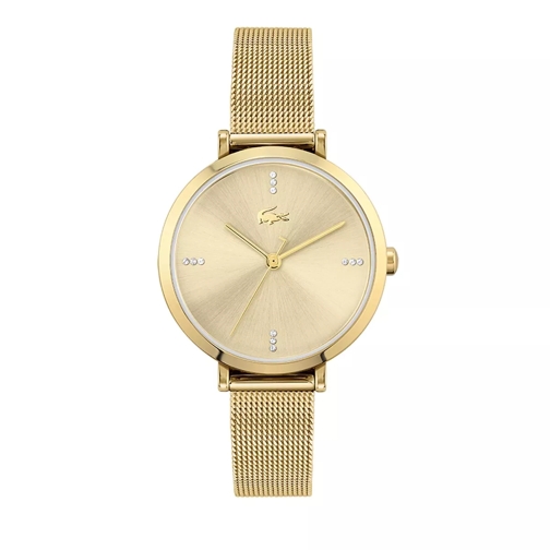Lacoste Quarz watch Gold Dresswatch