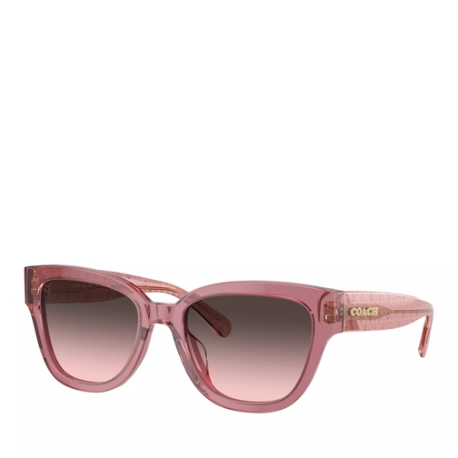 Coach CL920 Transparent Berry Sunglasses