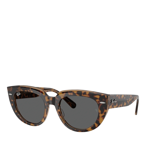 Ray-Ban Doreen Havana On Transparent Brown Solglasögon