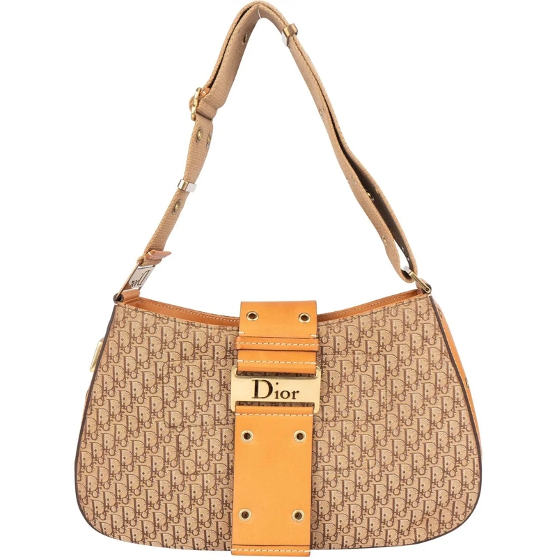 Christian Dior Schultertasche Christian Dior Trotter Monogram Street Chic Should mehrfarbig