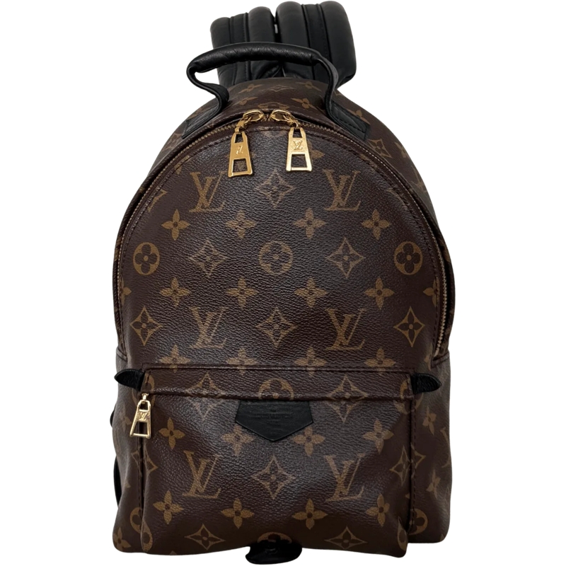 Louis Vuitton Rucksack Louis Vuitton Palm Springs Backpack PM M44871 Brow braun