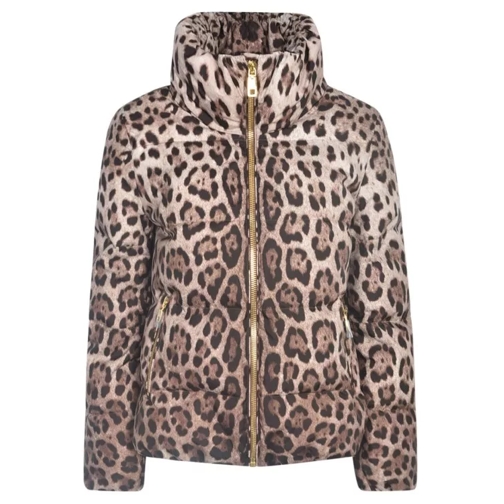 Dolce&Gabbana Leopard-Print Padded Jacket Brown Vestes en duvet
