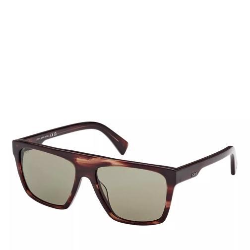Tod's TO0354 coloured havana Sunglasses