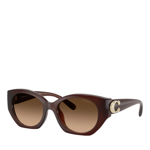 Coach CW194 Milky Hazelnut Sunglasses