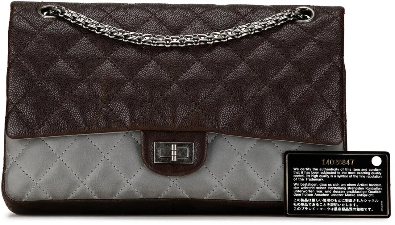 Chanel Hobo bags 2010-2011 Caviar and Iridescent Calfskin Reissue 2 in bruin