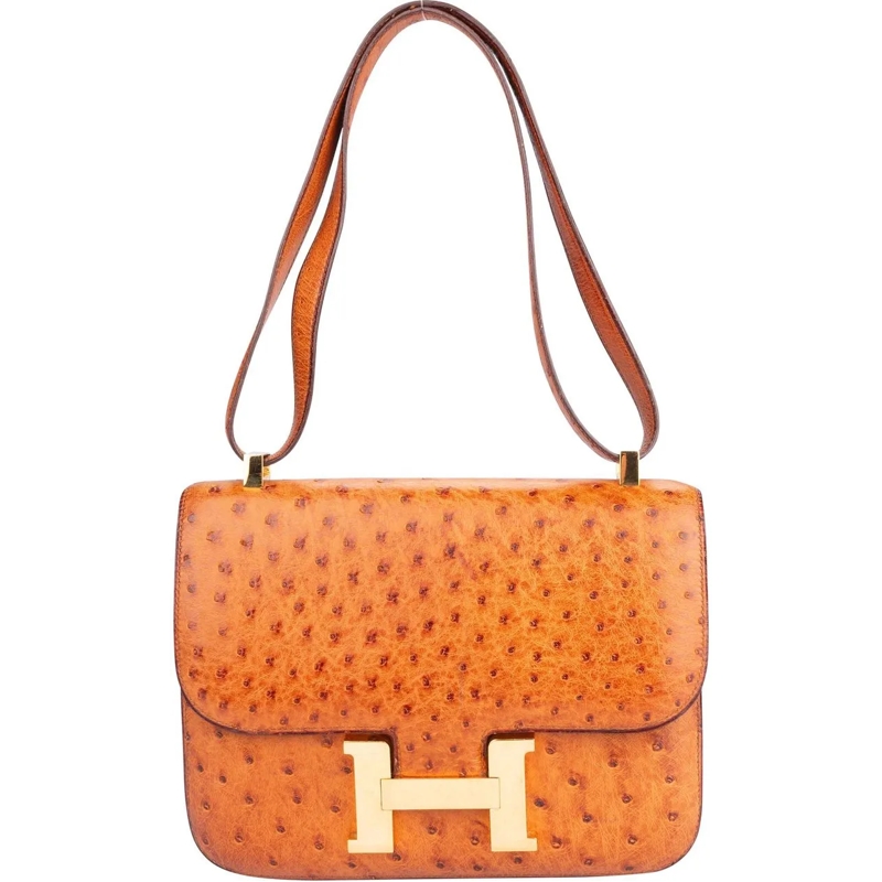 Hermès Schultertasche Hermes Ostrich Constance 23 Shoulder Bag mehrfarbig