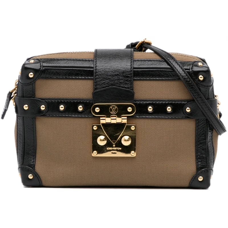 Louis Vuitton Schultertasche Petite Malle Soft MM braun