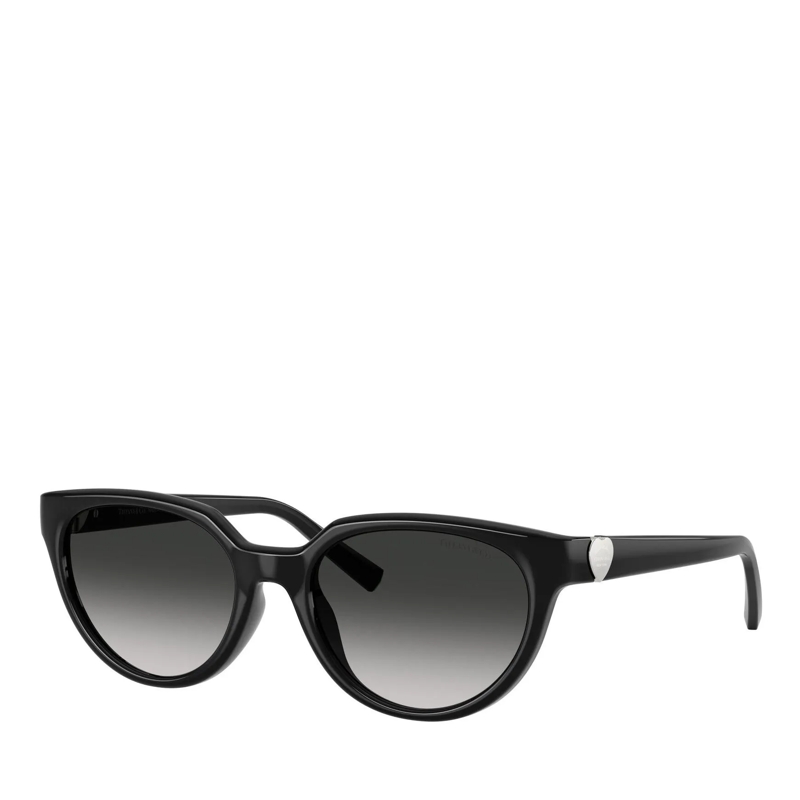 Tiffany & Co. Sonnenbrille 0TF4256D Black