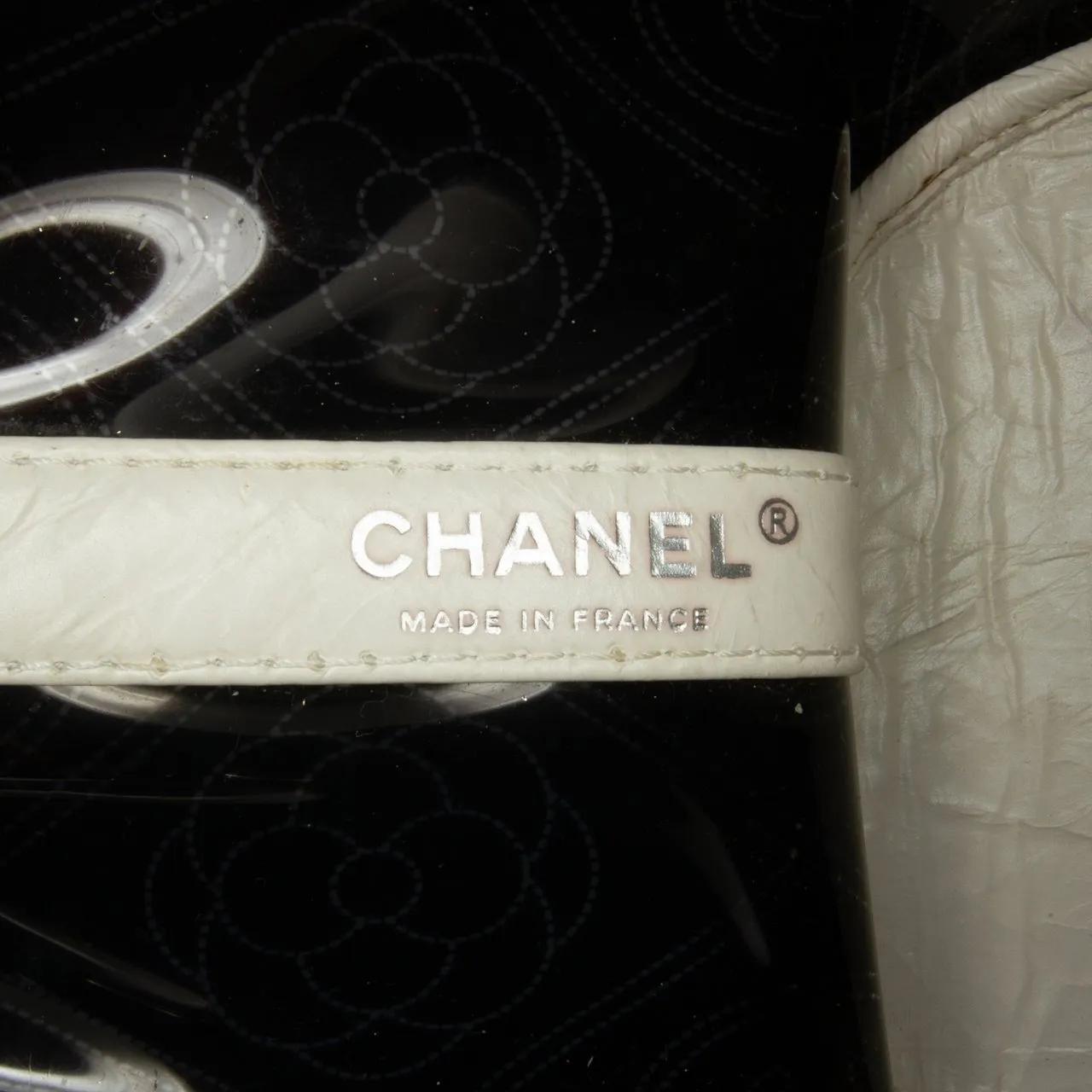 Chanel Hobo bags 2018 Crumpled Calfskin PVC Camellia Bucket in zwart