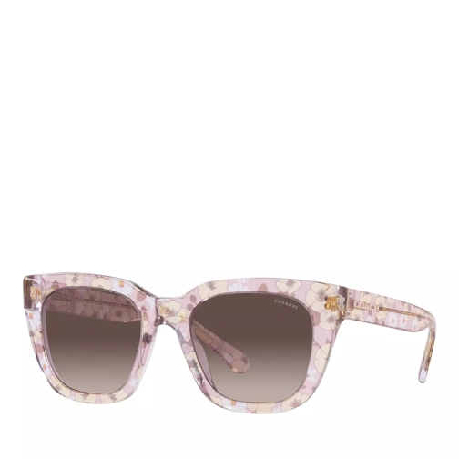 Coach Sunglasses 0HC8318 Transparent Pink Floral Print Lunettes de soleil