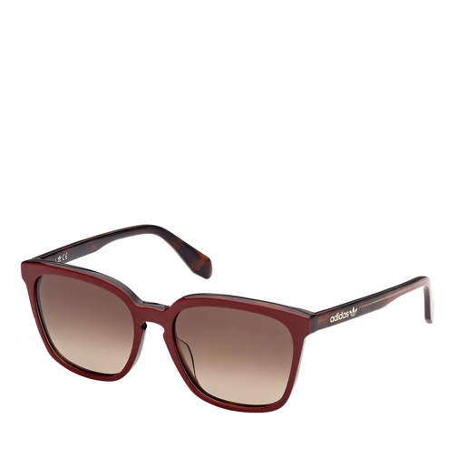 adidas Originals OR0061 gradient brown Sonnenbrille