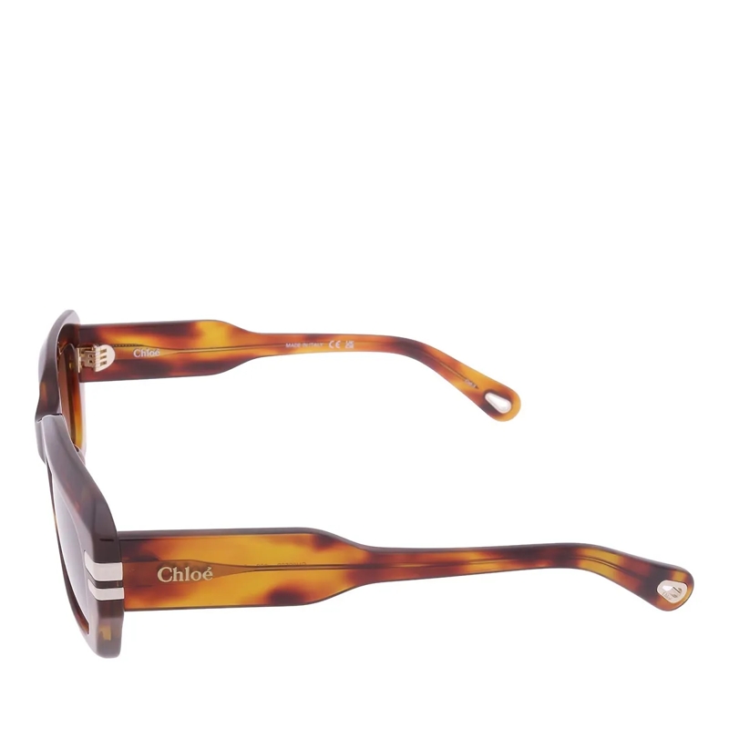 Chloé Sonnenbrille CH0256S-002 Havana-Havana-Brown(Image 4)