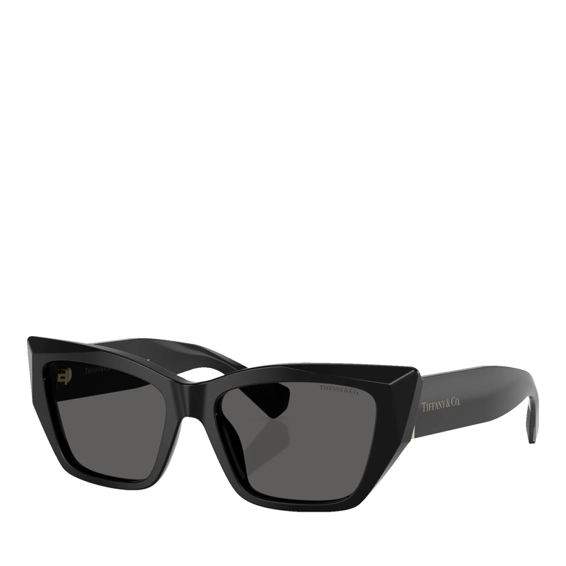 Tiffany & Co. Sonnenbrille 0TF4230 Black