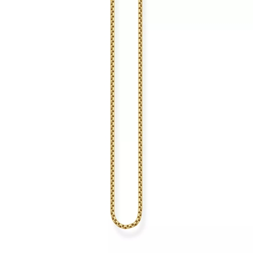 Thomas Sabo Kette 50 cm gelbgoldfarben Mittellange Halskette