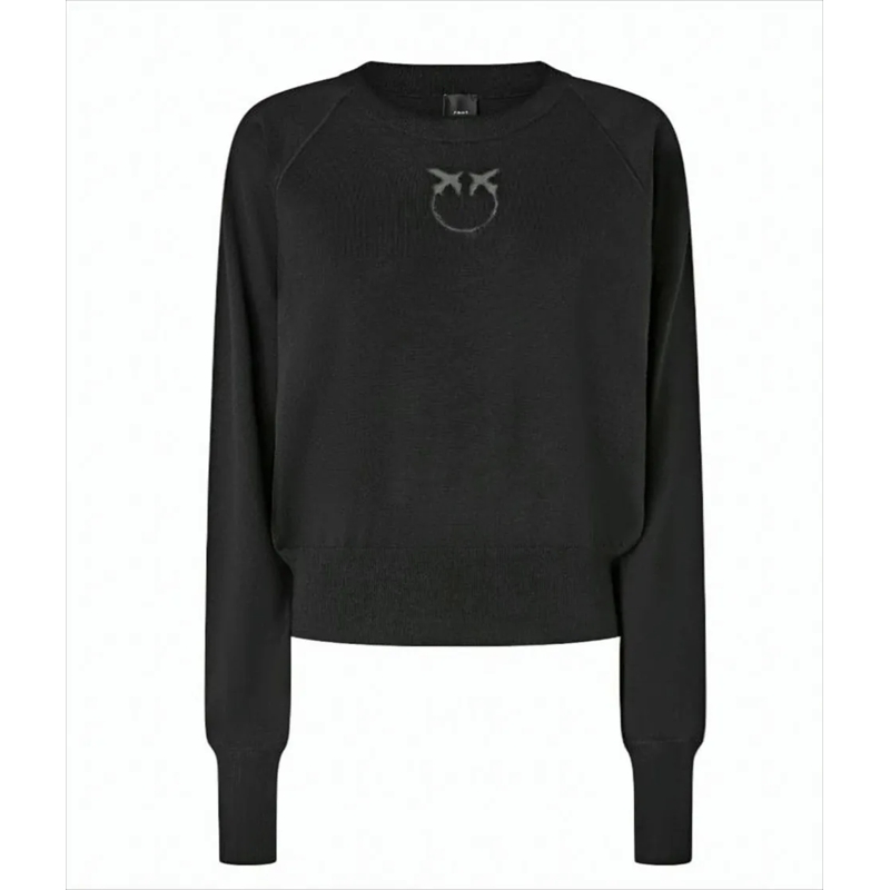 Pinko Pullover Crew Neck Merino Wool Sweater White