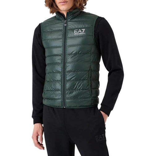 EA7 Daunenjacken Jackets Green grün