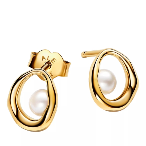 Pandora Stud 14k Gold-plated stud earrings with treated freshwa White