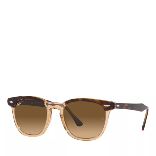 Ray-Ban Sunglasses 0RB2298 Havana On Transparent Brown Sunglasses