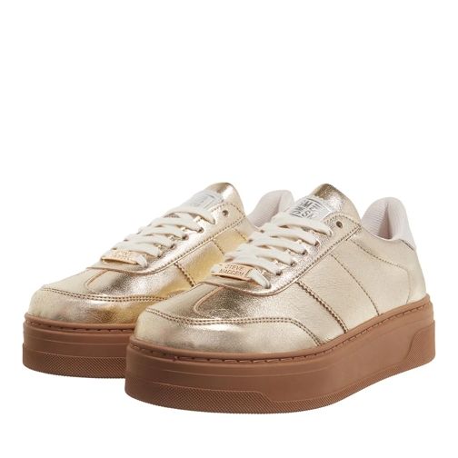 Steve Madden Low-Top Sneaker Moxy Gold