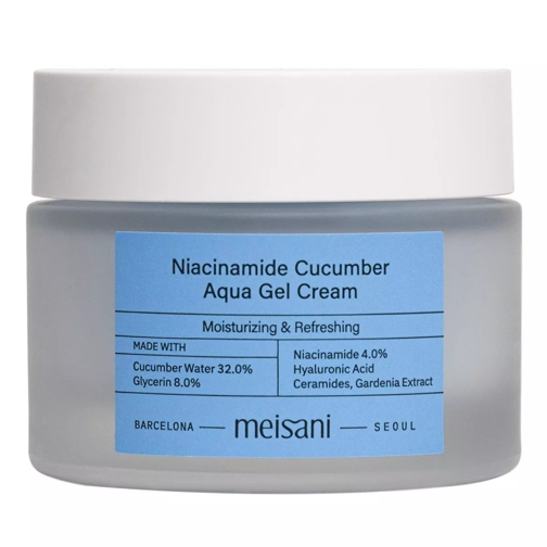Meisani Niacinamide Cucumber Aqua Gel Cream Gesichtsserum