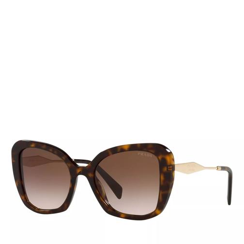Prada Woman Sunglasses 0PR 03YS Tortoise Sonnenbrille