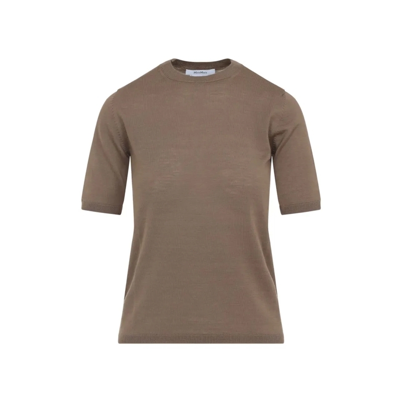 Max Mara Pullover Short-Sleeve Virgin Wool Sweater With Classic Roun Brown